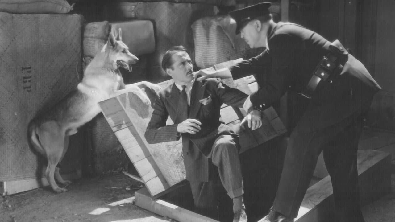 Captured in Chinatownの背景画像