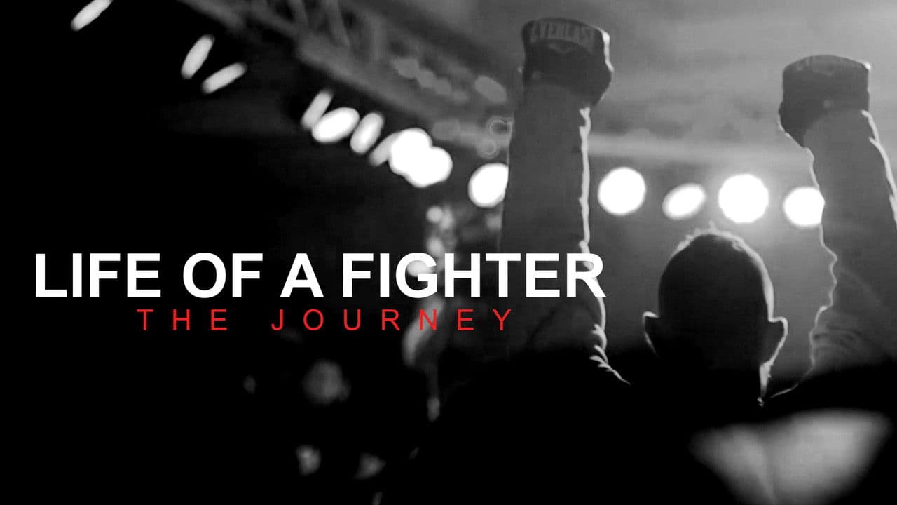 Life of a Fighter: The Journeyの背景画像