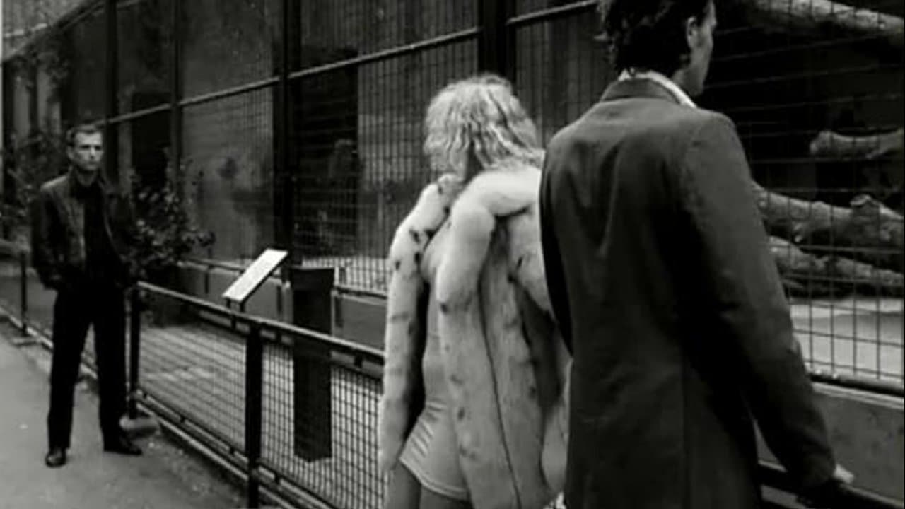 Venus in Fursの背景画像