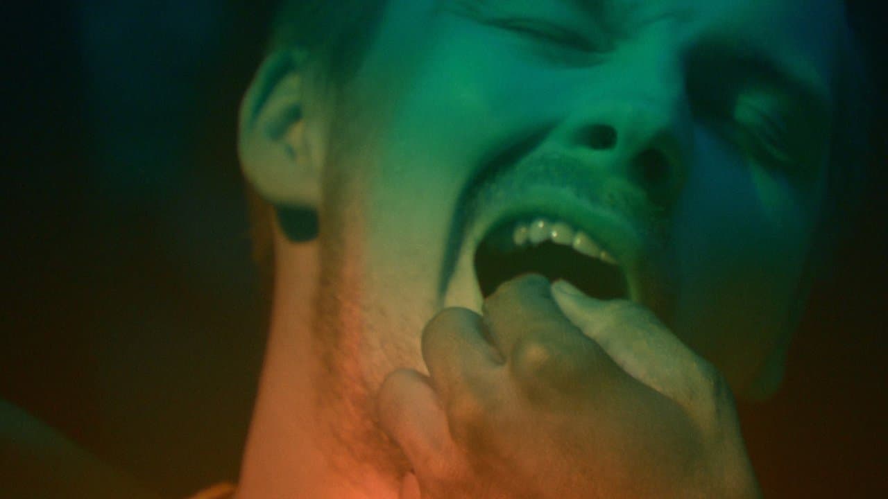 The Wisdom Toothの背景画像