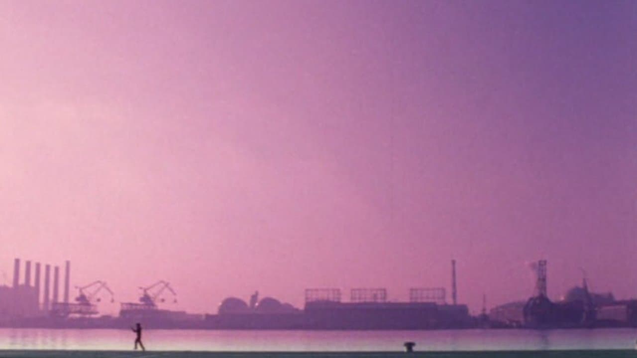 ボクサーの背景画像