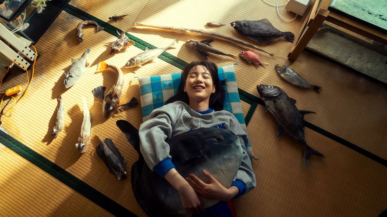 さかなのこの背景画像