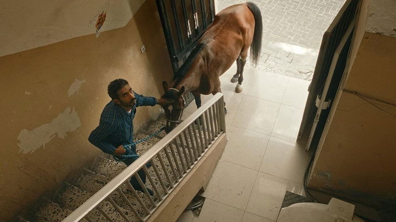 عذر أجمل من ذنبの背景画像