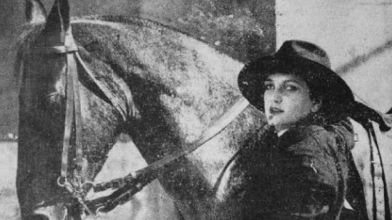 O Cavaleiro Negroの背景画像