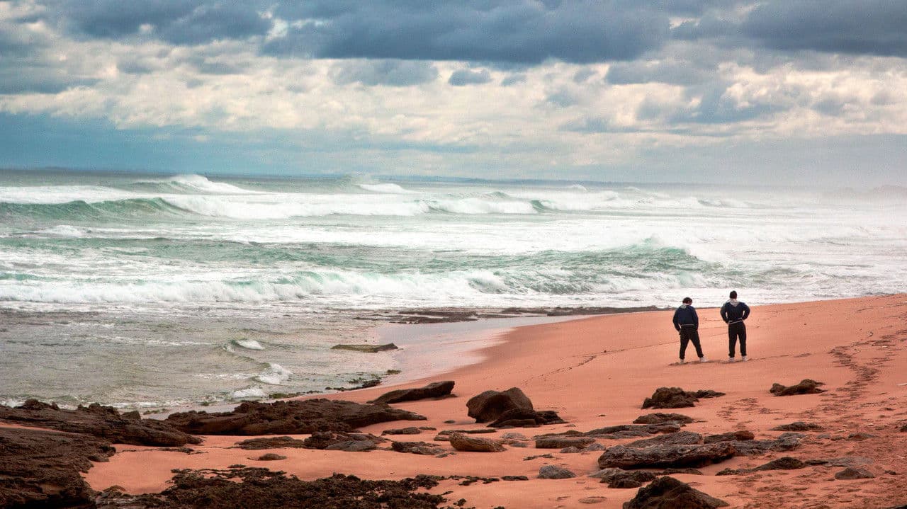 Colonyの背景画像