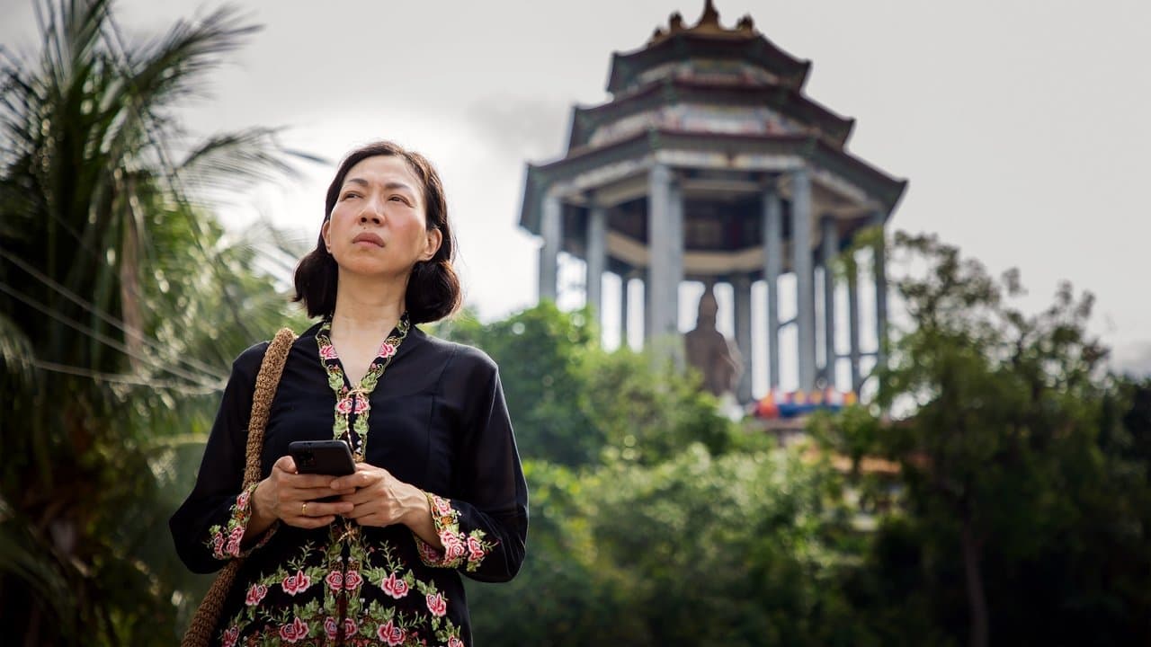 五月雪の背景画像