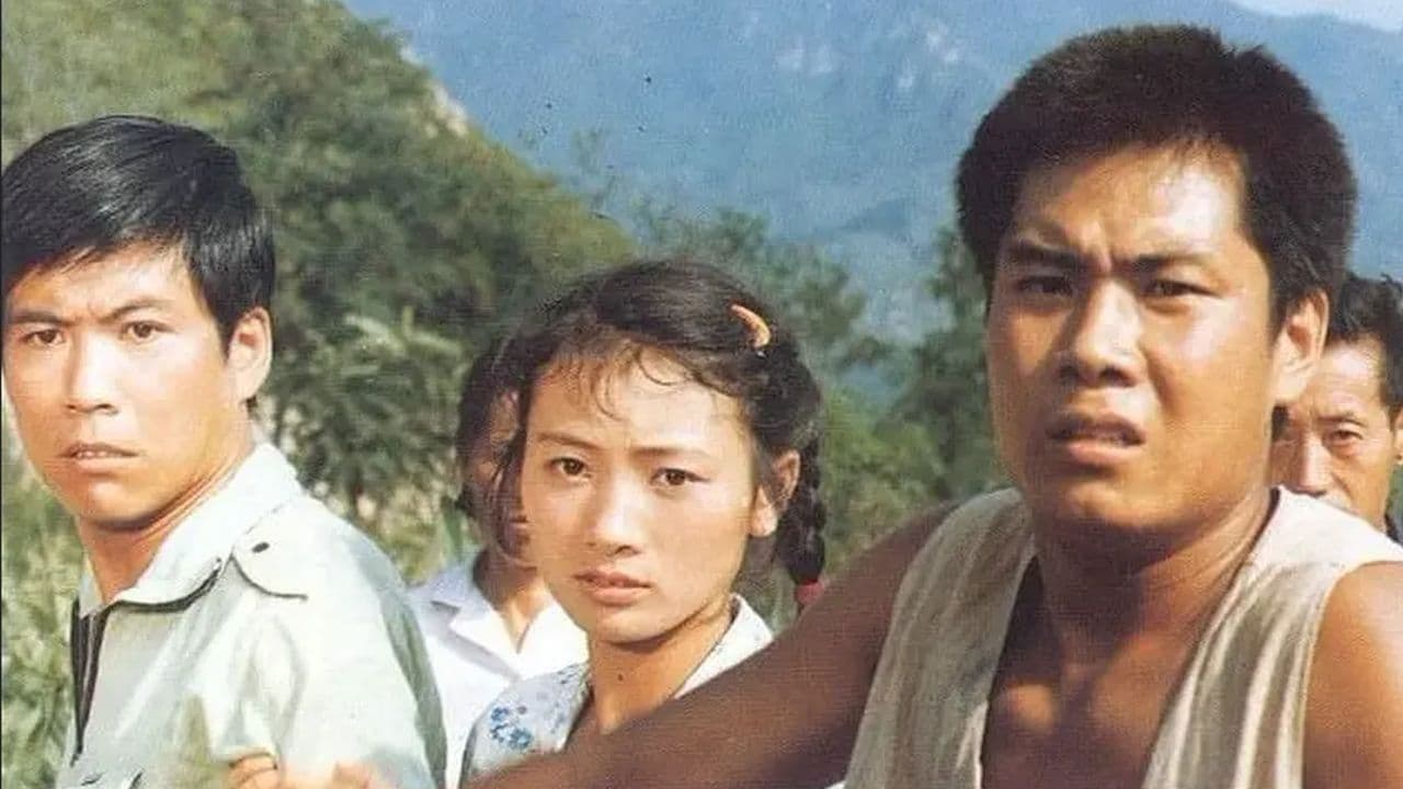 月月の背景画像