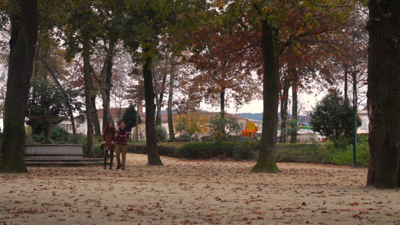 Distúrbios Outonaisの背景画像