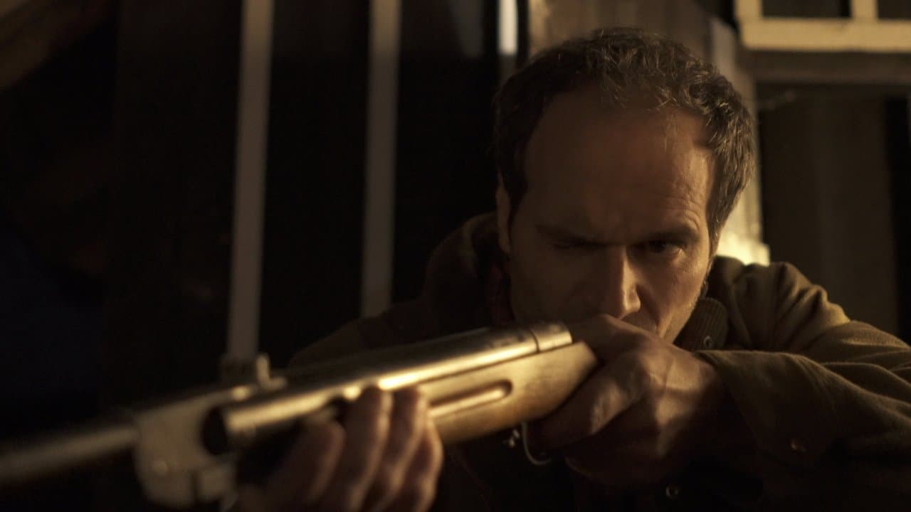 Zvěřの背景画像