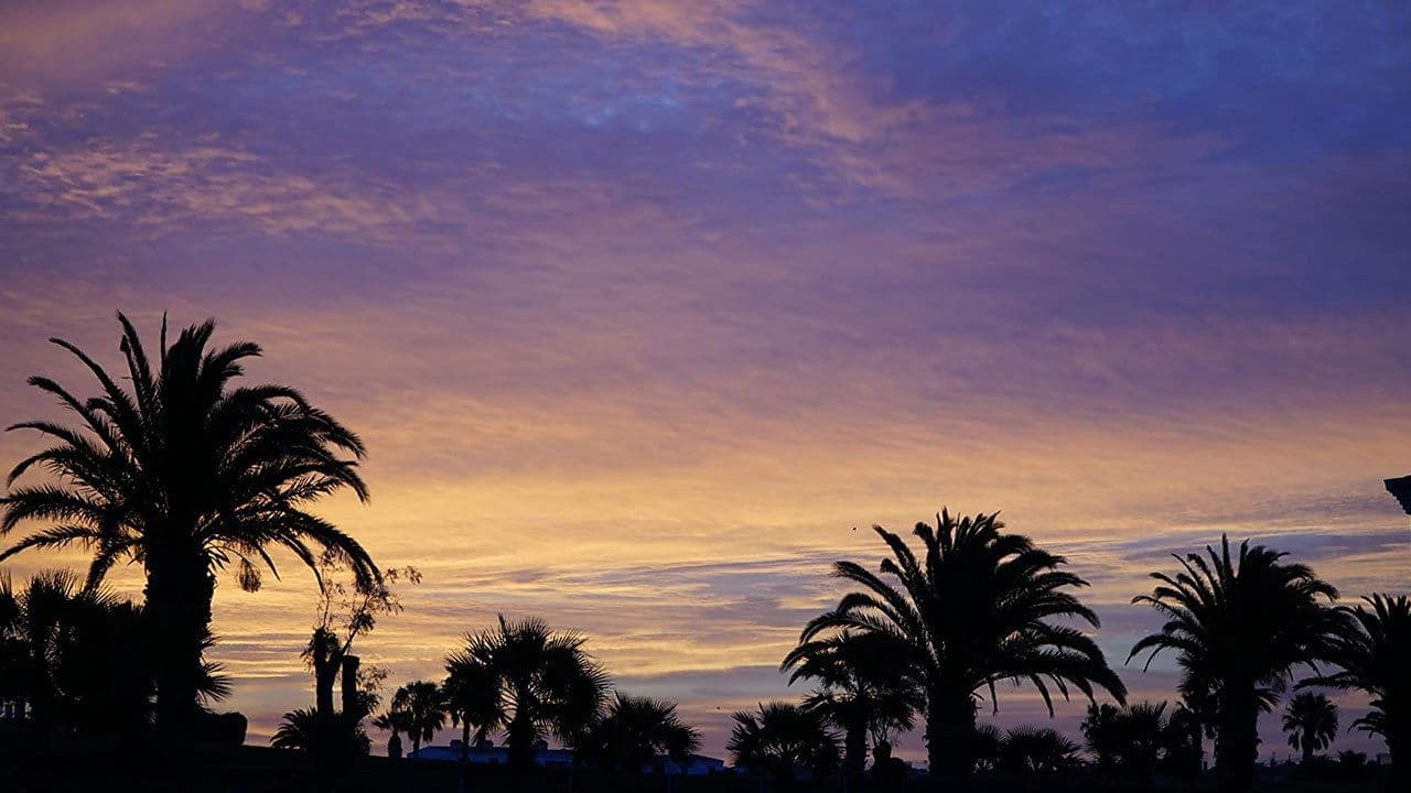 One Glorious Sunsetの背景画像