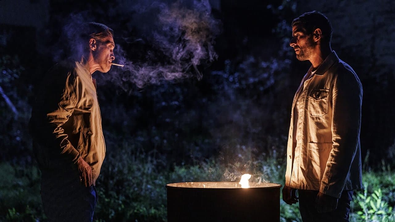 Tigres et Hyènesの背景画像