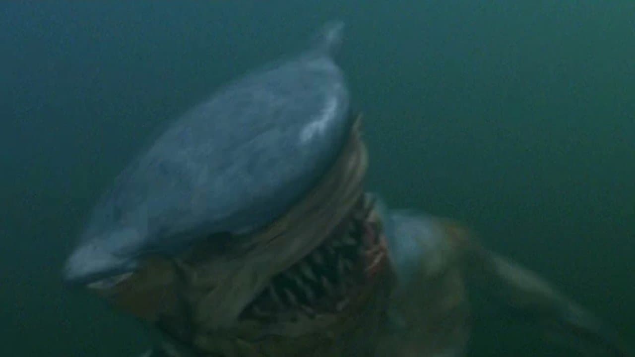 Hammerheadの背景画像