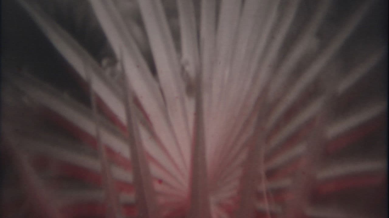 Nowhere Fastの背景画像