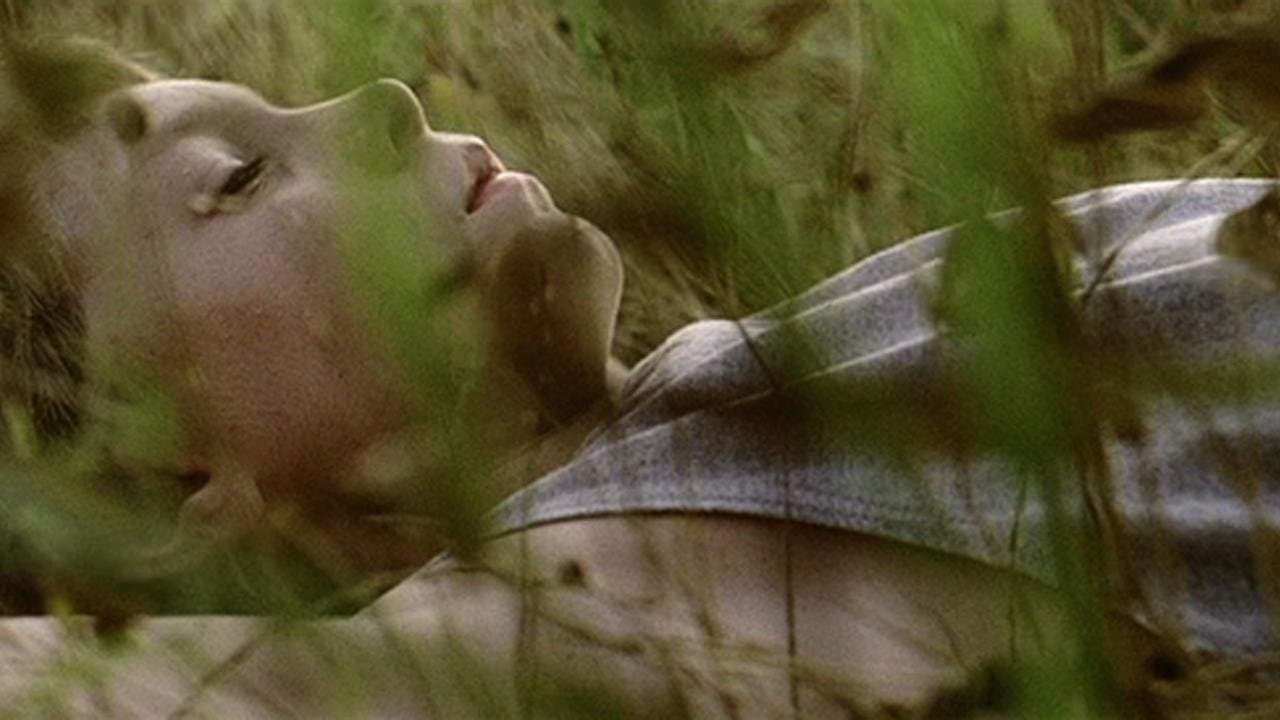 Low Tideの背景画像