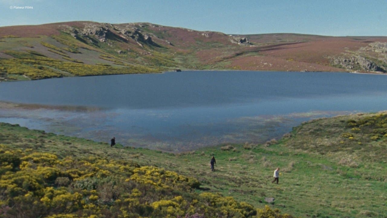 Afterwaterの背景画像