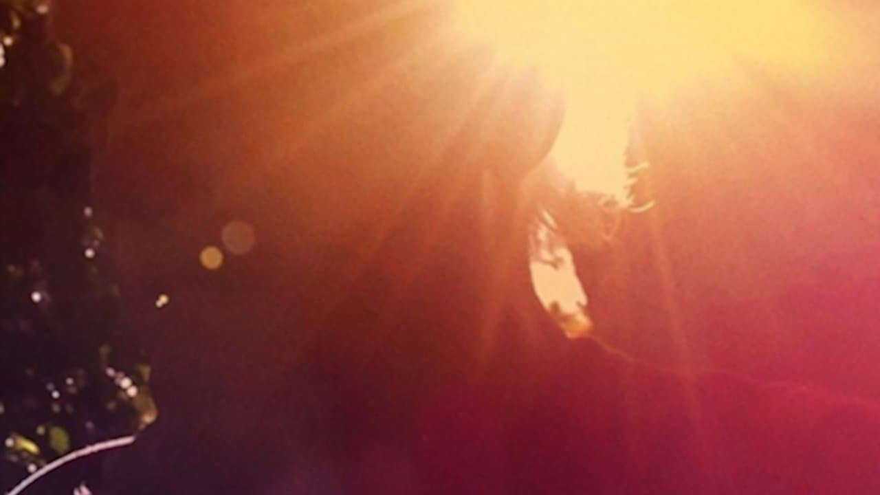 Ram Dass, Going Homeの背景画像