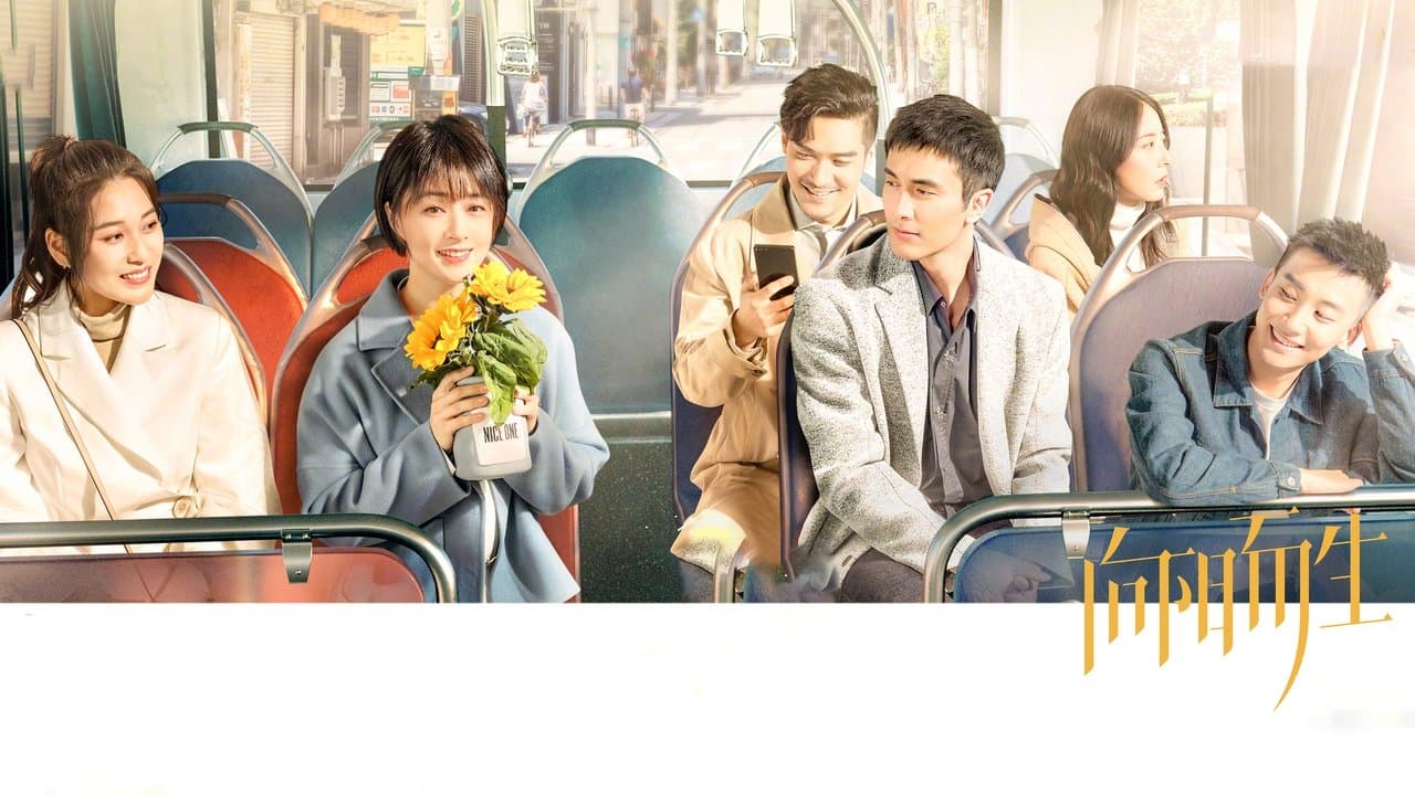 向阳而生の背景画像