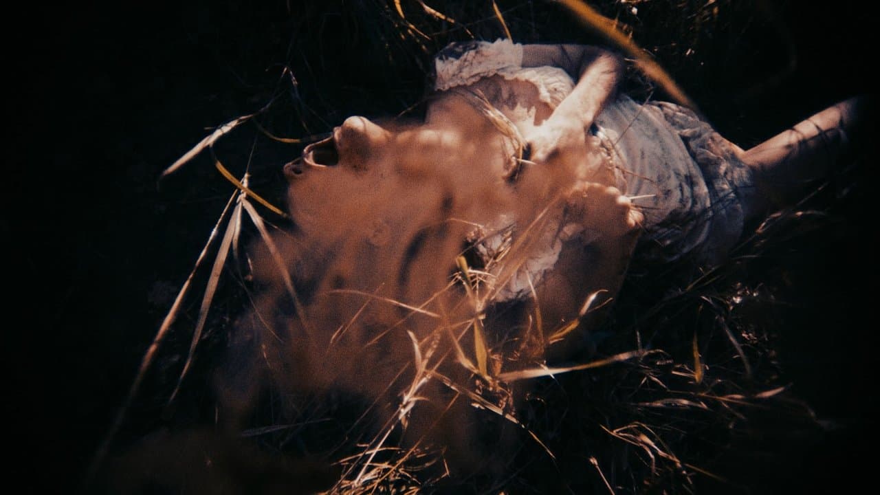 Trollsの背景画像