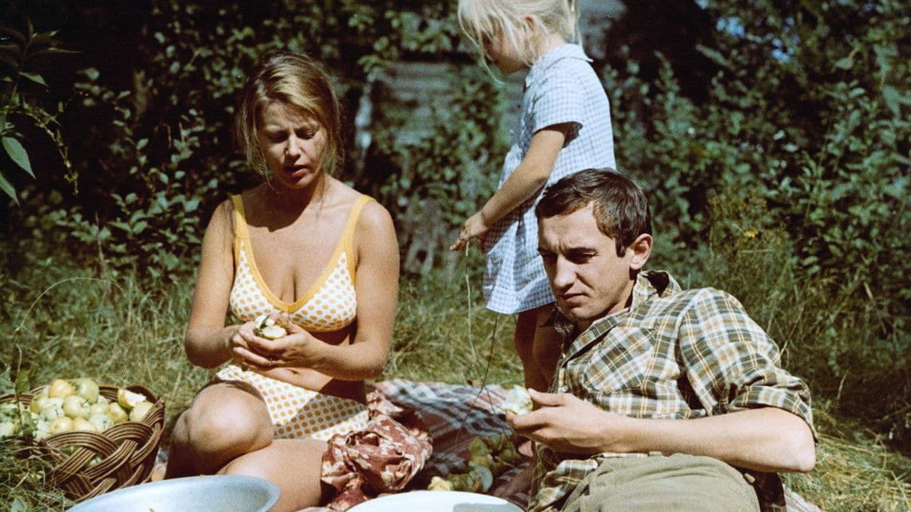 Vasara baigiasi rudenįの背景画像