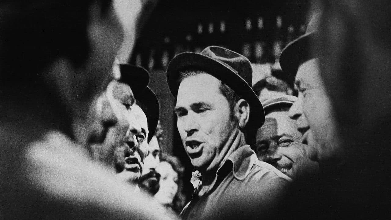 Bom Povo Portuguêsの背景画像