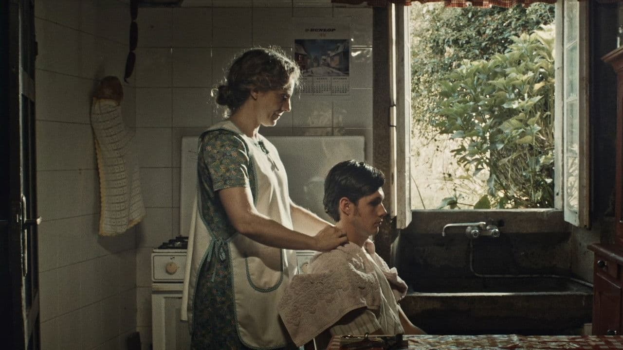 Cariñena, vino del marの背景画像