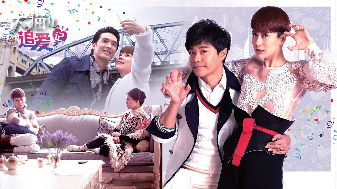 大猫儿追爱记の背景画像