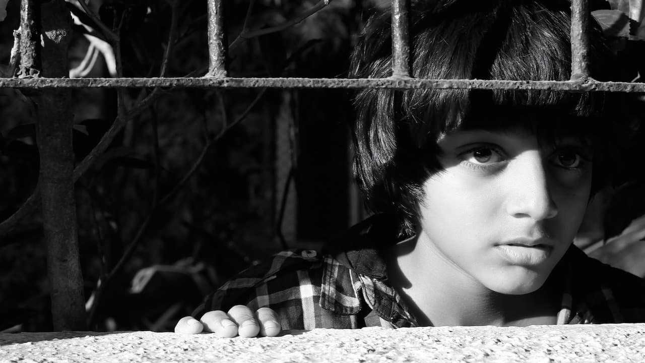 A Billion Colour Storyの背景画像