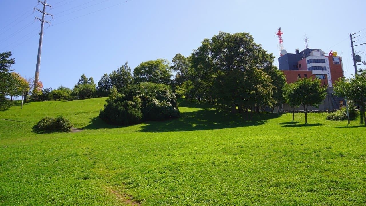 水曜どうでしょうの背景画像