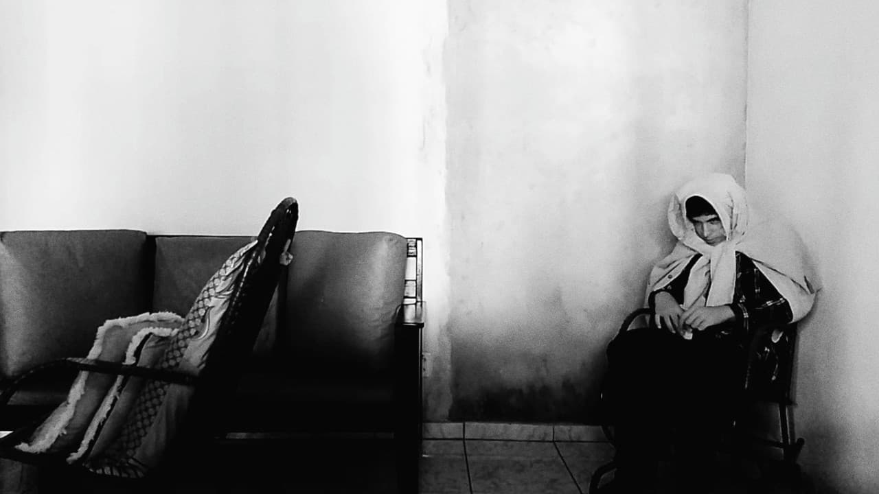 Hotel Papucaiaの背景画像