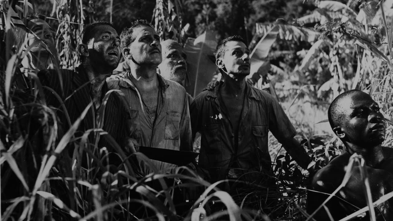 Mãos Sangrentasの背景画像