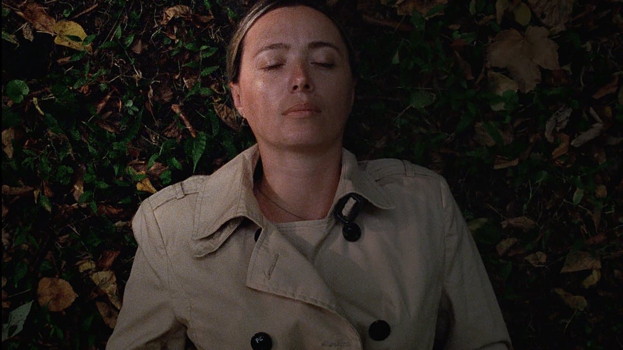 BEGINNING ビギニングの背景画像