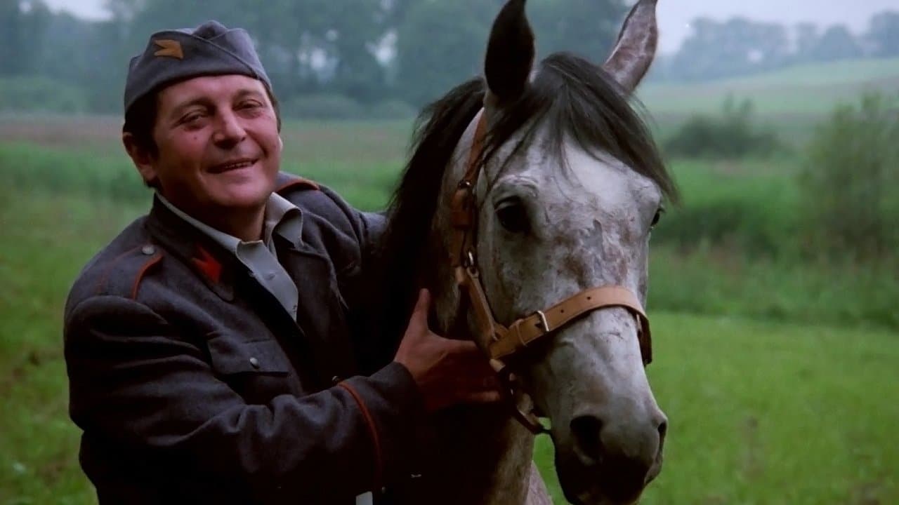 Karinoの背景画像