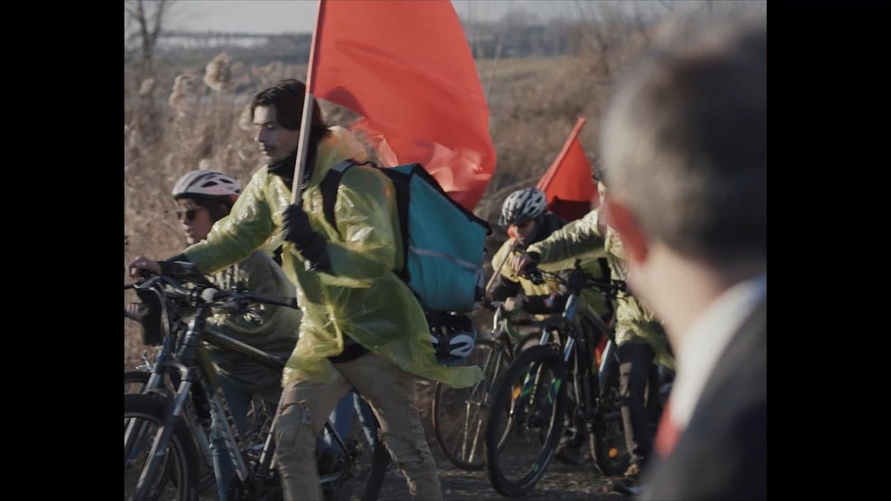 Fioriの背景画像