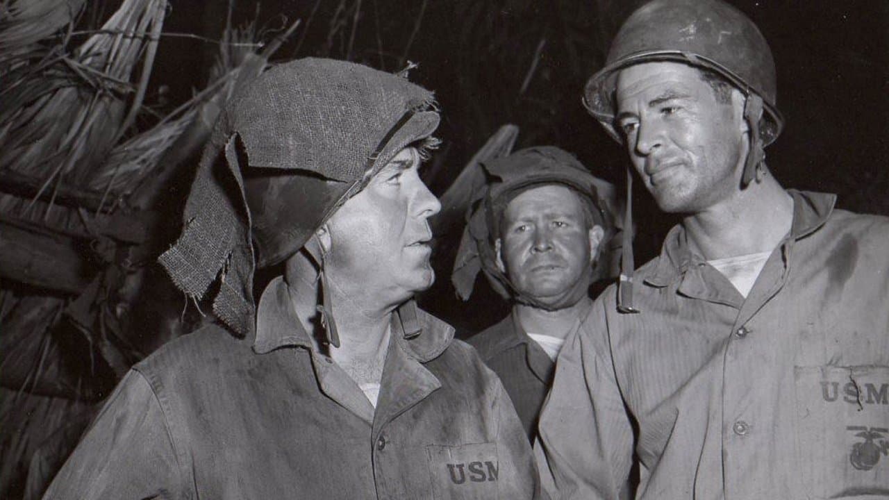 Marine Raidersの背景画像