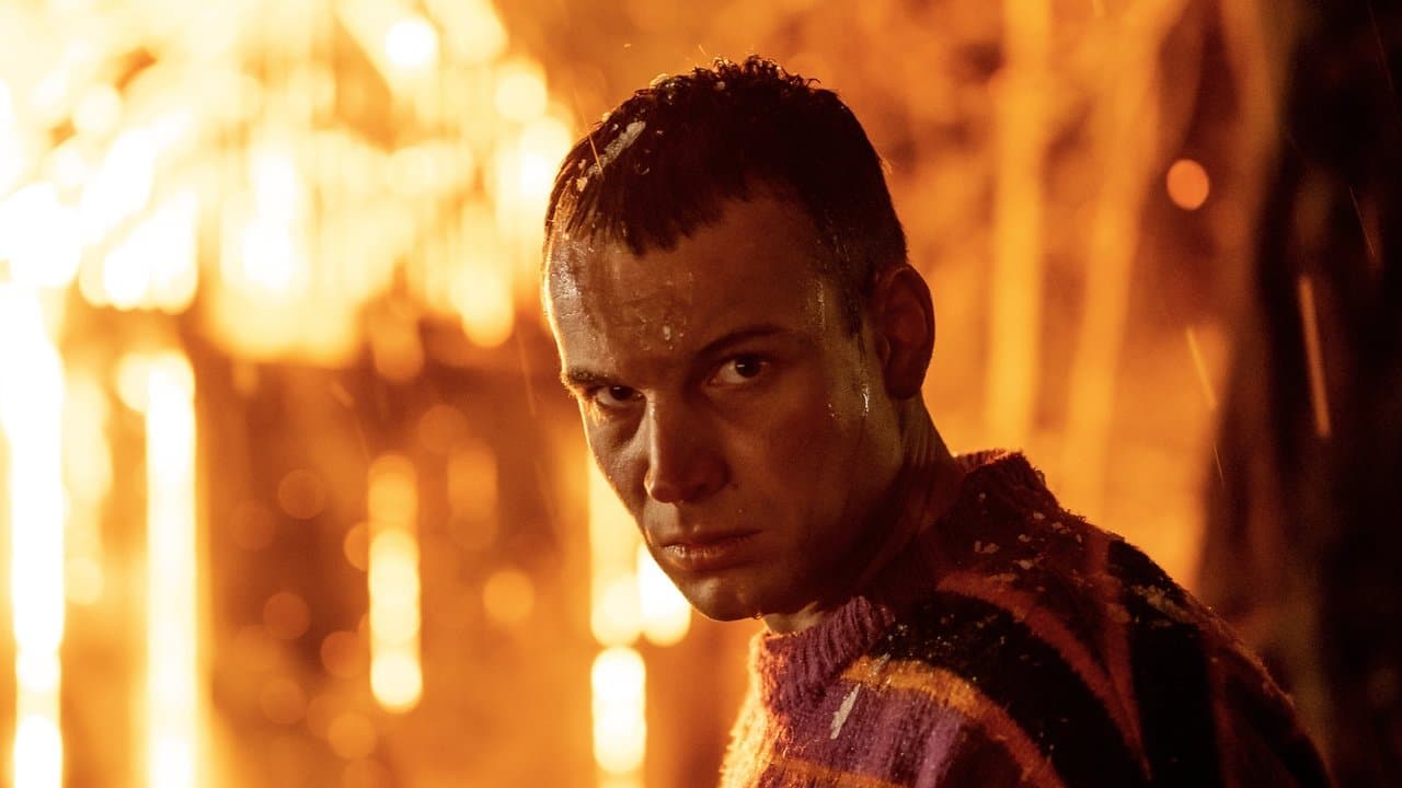 Der Wald in mirの背景画像