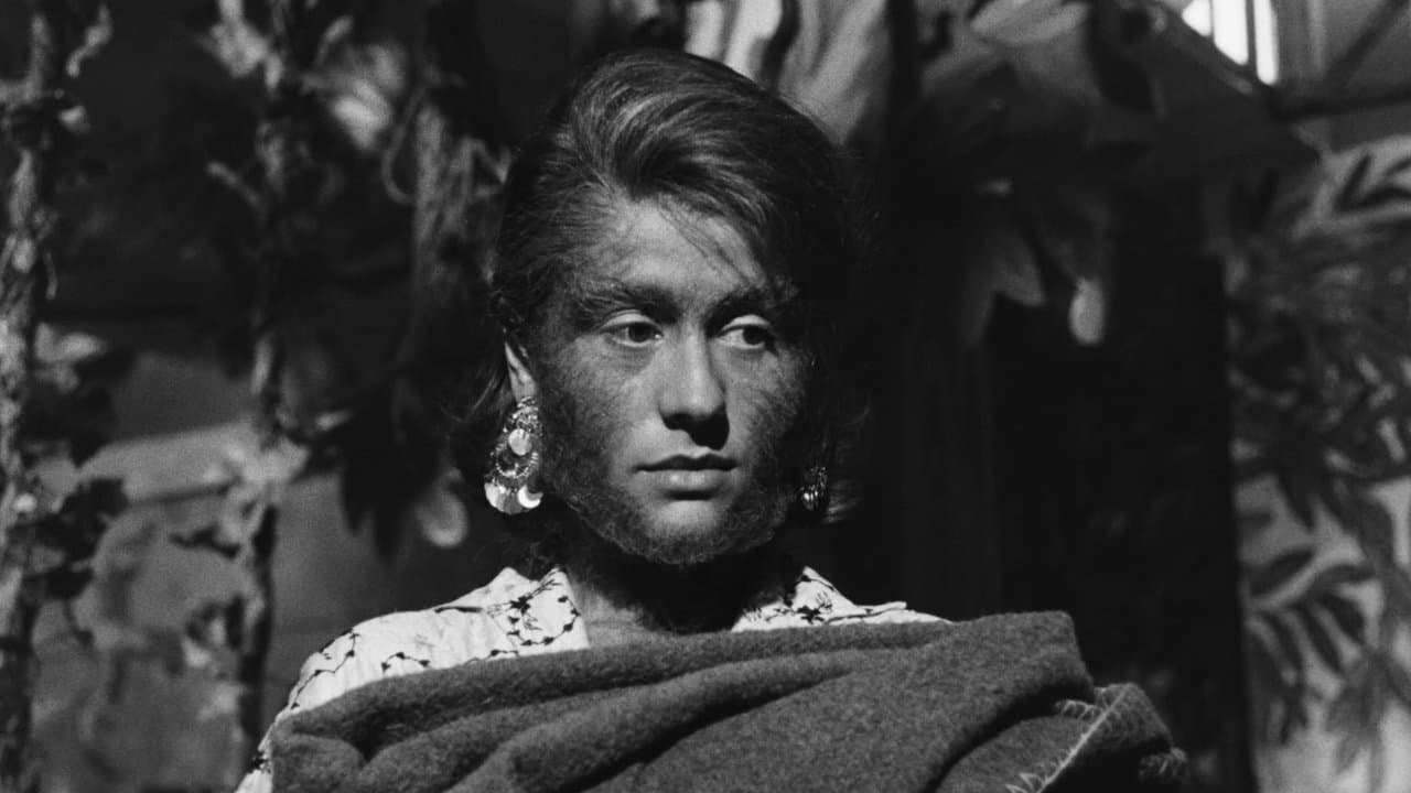 La donna scimmiaの背景画像