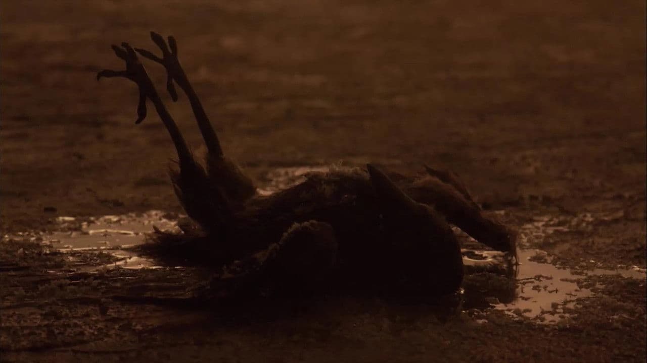 Sororelleの背景画像