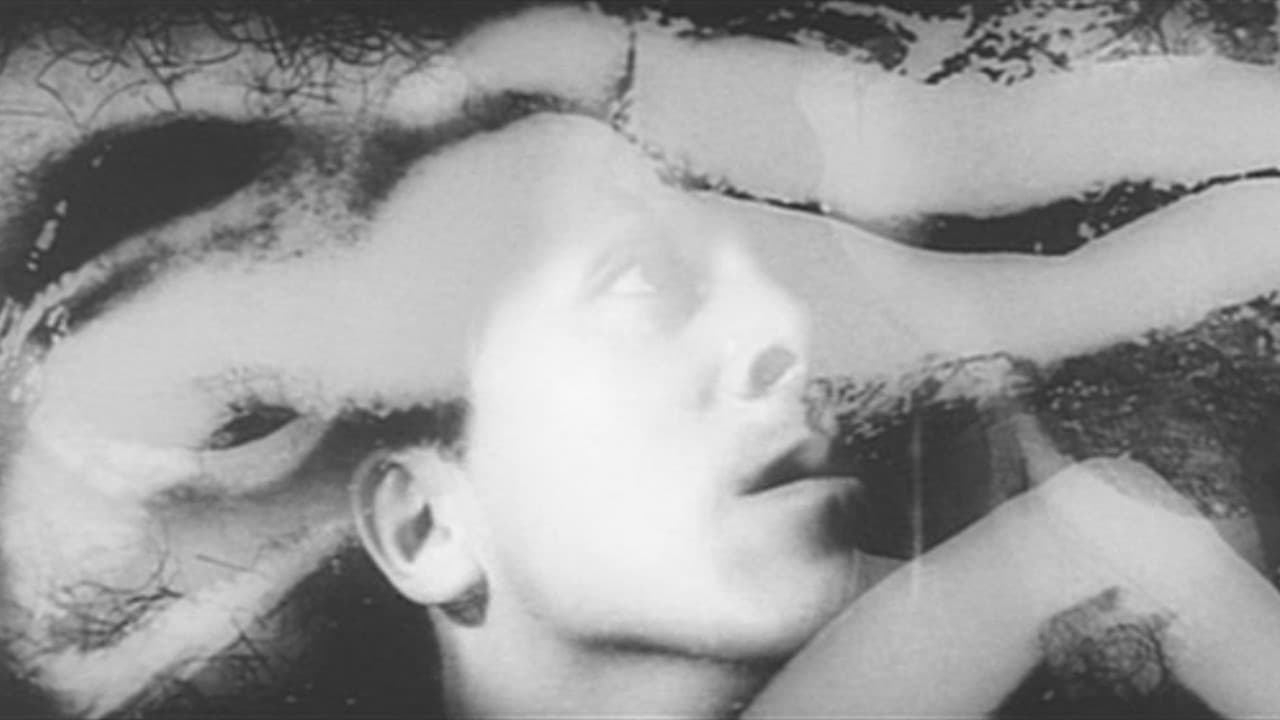 胎児が密猟する時の背景画像