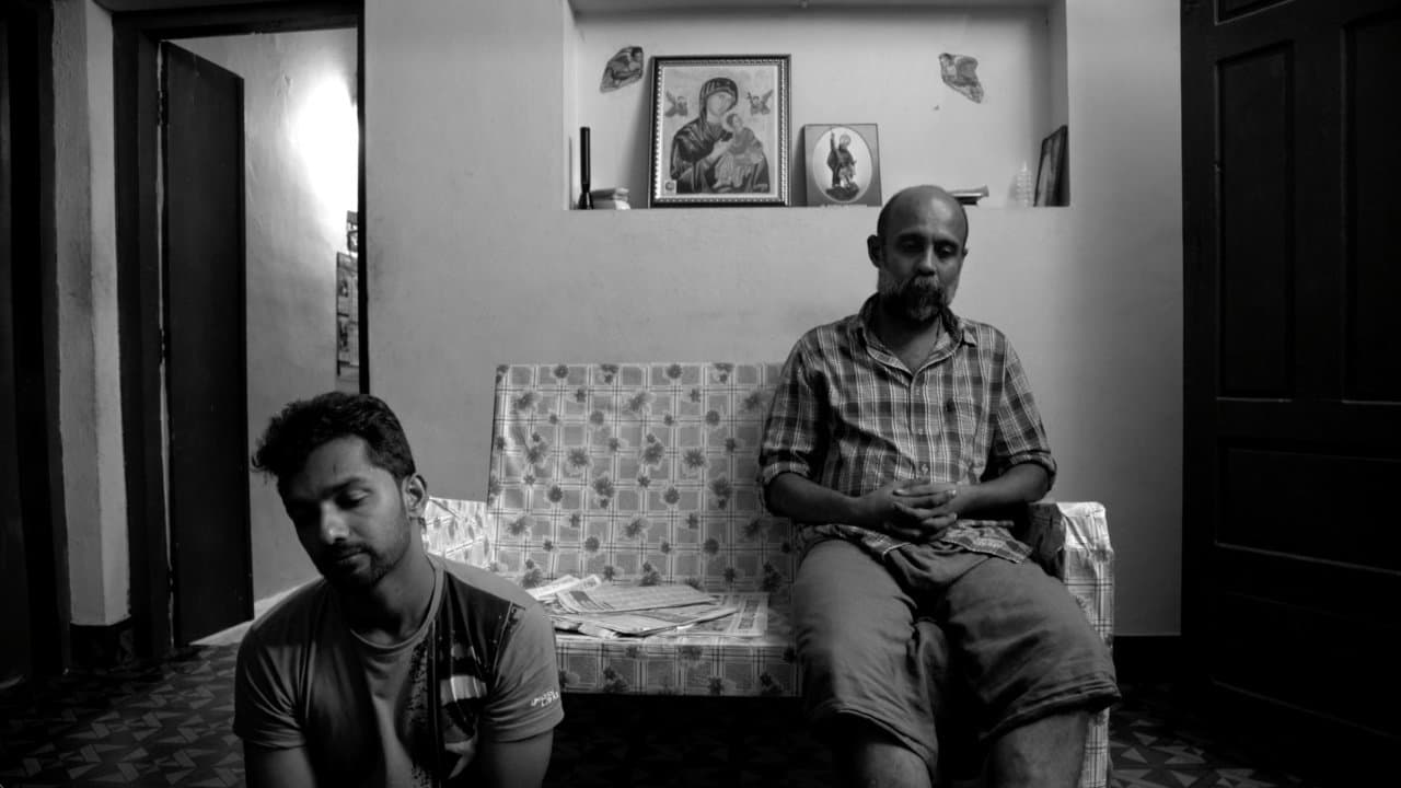 വിത്ത്の背景画像