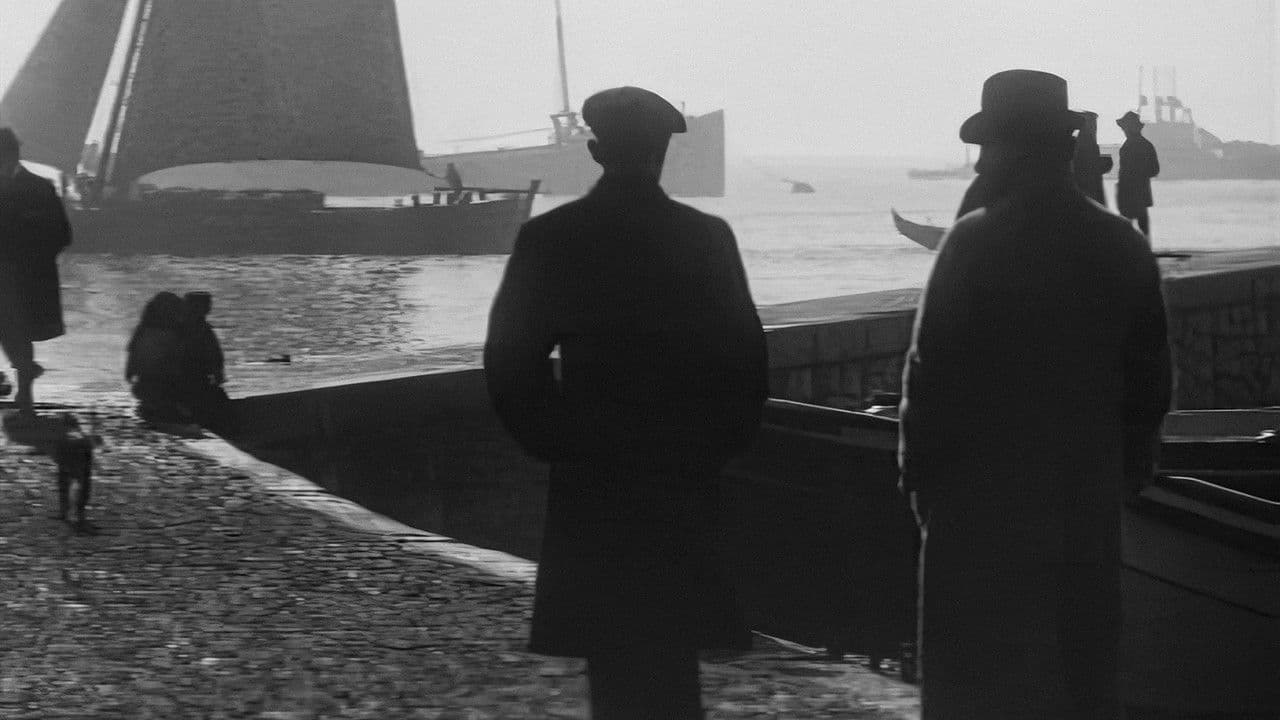 O Homem dos Olhos Tortosの背景画像