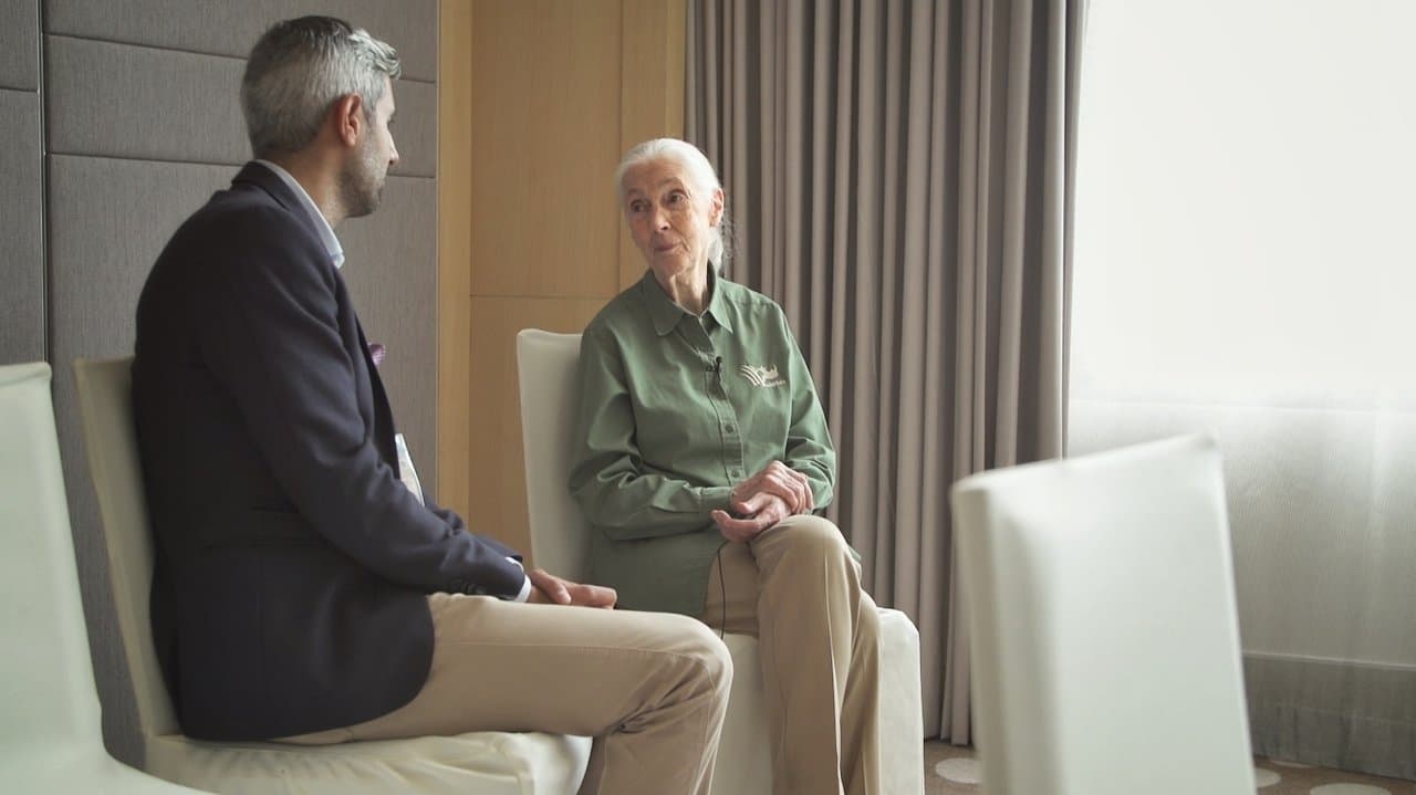 Planet ohne Affenの背景画像