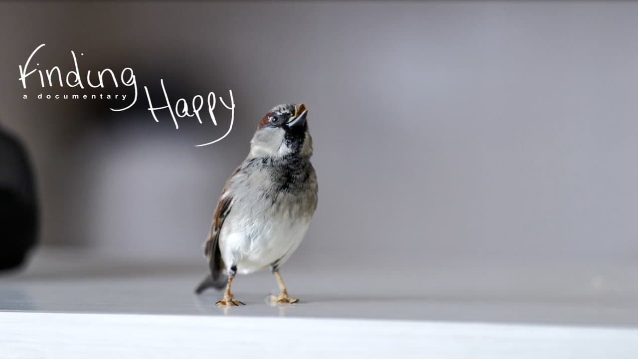 Finding Happyの背景画像