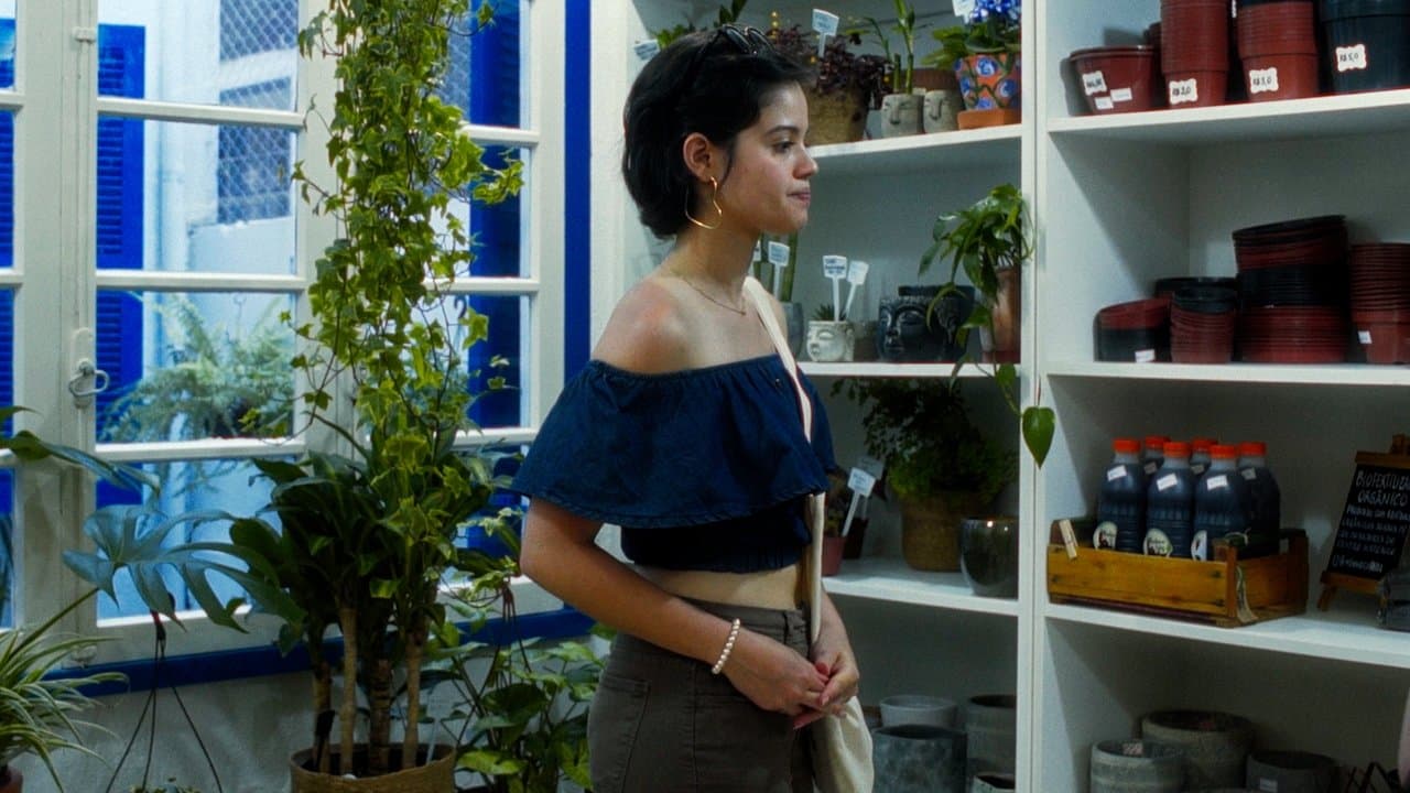 Flores da Primaveraの背景画像