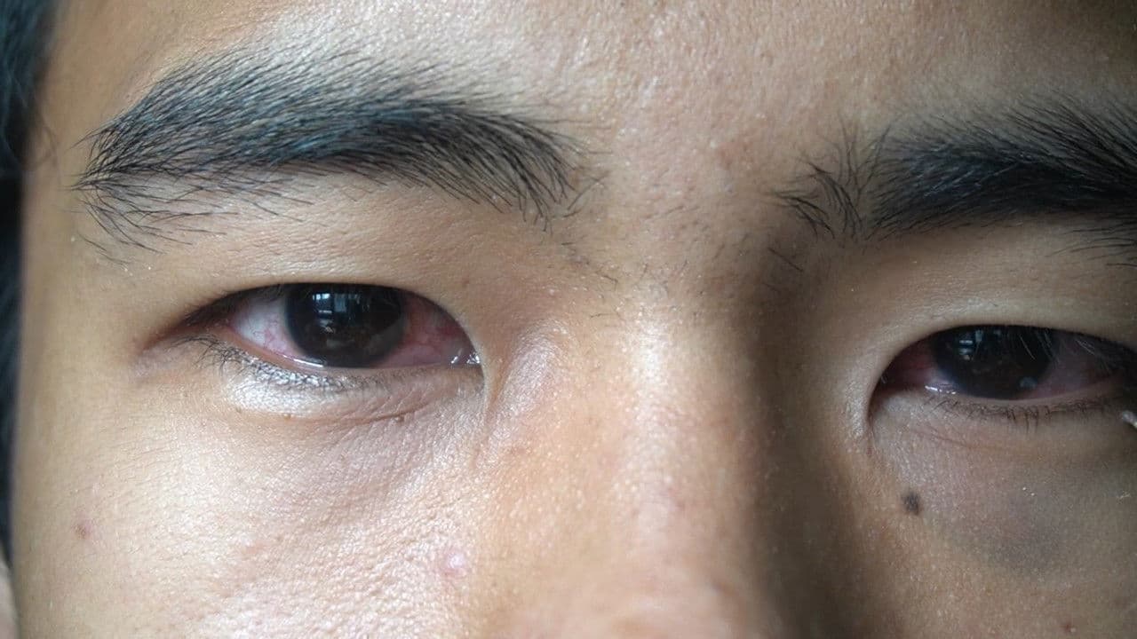 Last Minute Habitの背景画像