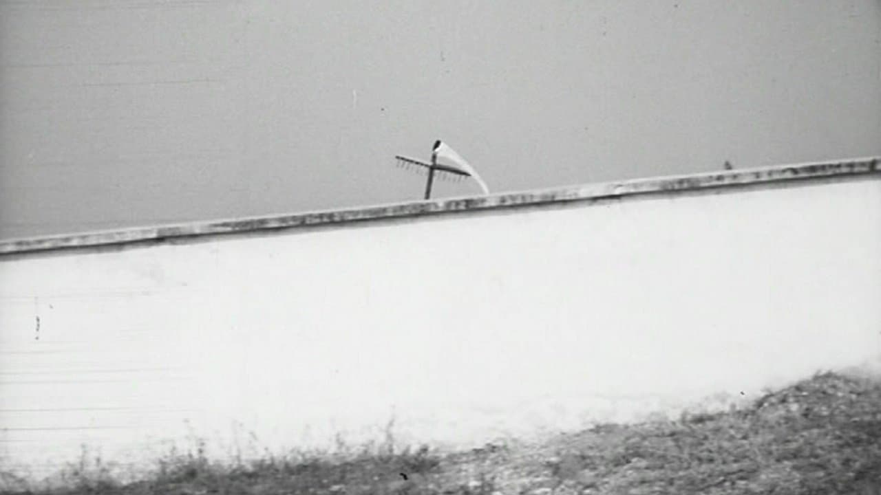 Abbasso Il Zioの背景画像