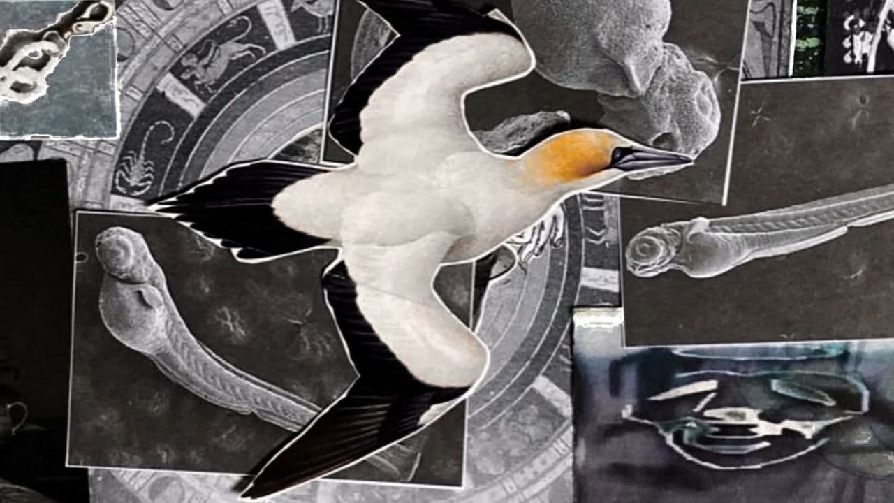 Inmueblesの背景画像