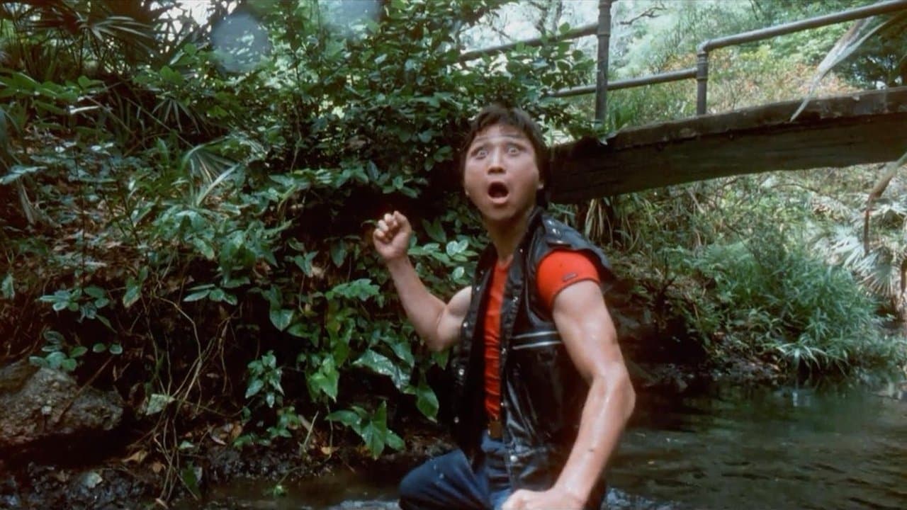 Miami Connectionの背景画像