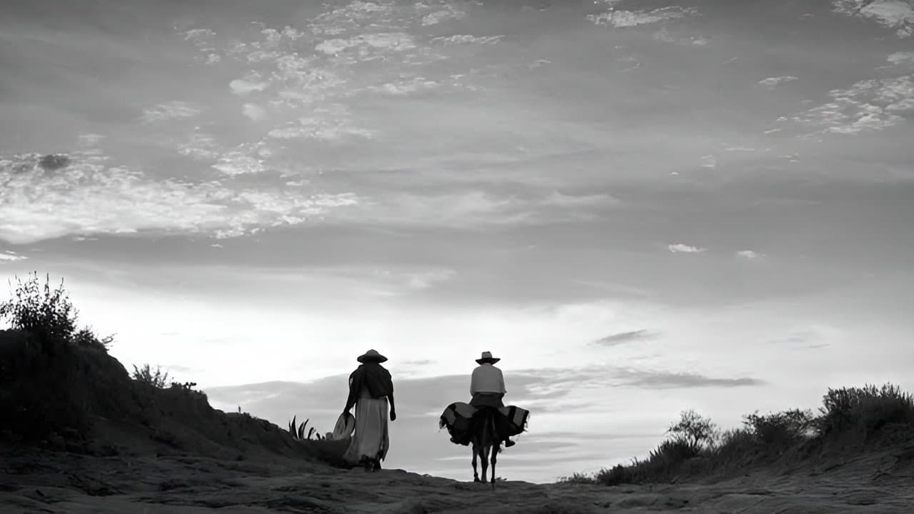 Cien años con Juan Rulfoの背景画像