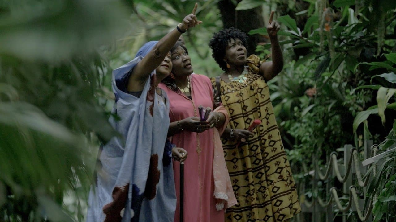 L'INDIGOTIER ou la descente des jumellesの背景画像