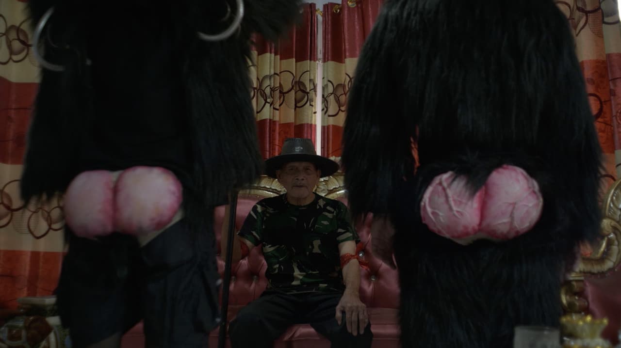 Primate Visions; Macaque Macabreの背景画像